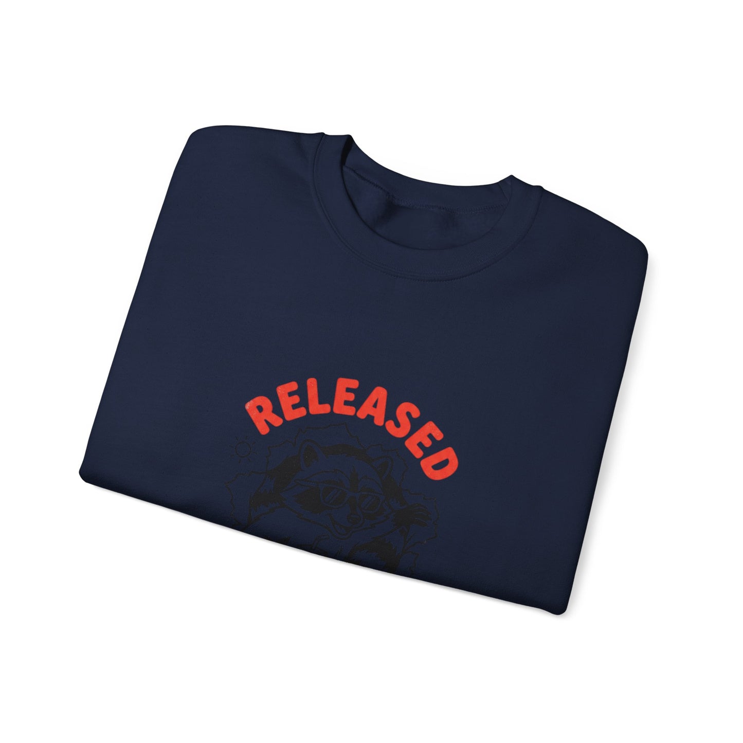 Released Into Summer Raccoon Sweatshirt | Teacher Identity, End-of-Year Humor
